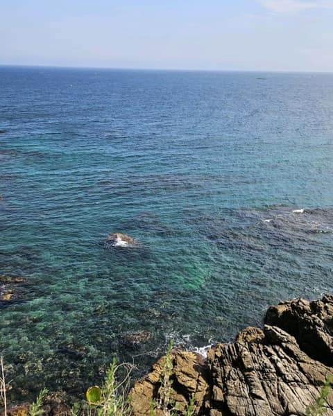 이사부길A코스 사진 9