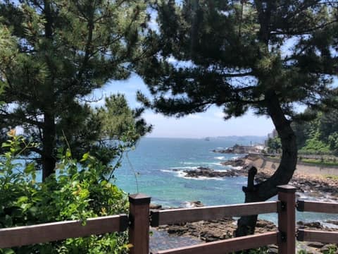 이사부길A코스 사진 10