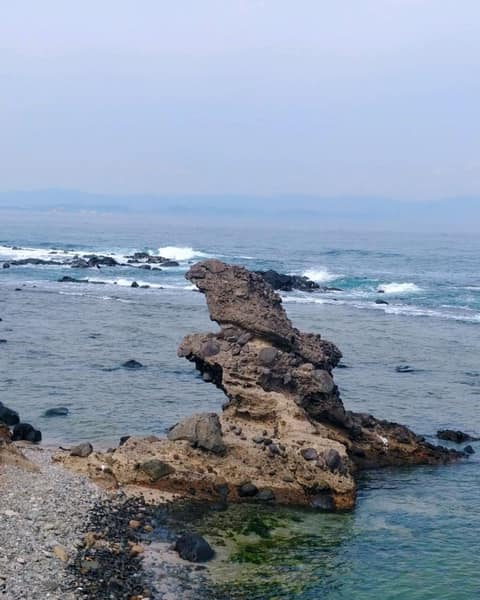 호미반도해안둘레길4코스(호미길) 사진 2
