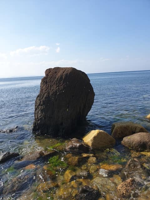호미반도해안둘레길4코스(호미길) 사진 5
