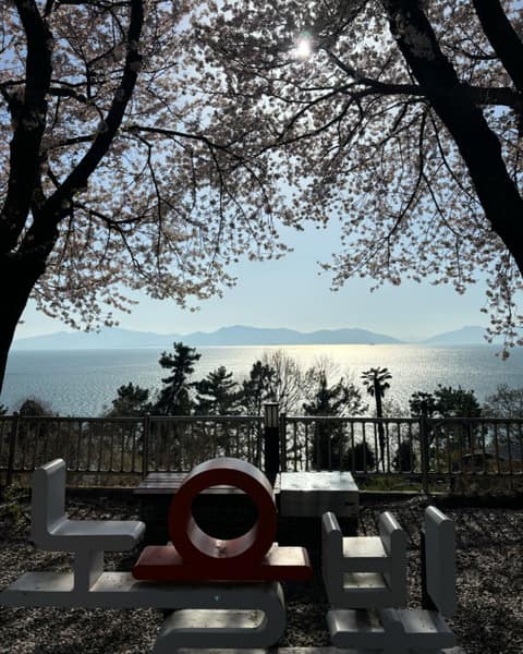 박서진길 사진 5