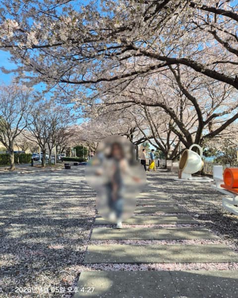 박서진길 사진 8