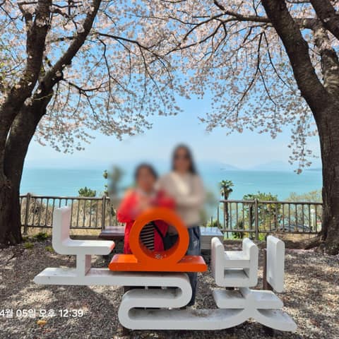 박서진길 사진 9