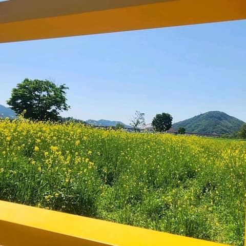 남파랑길48코스 사진 3