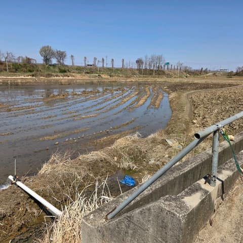경기둘레길파주6코스 사진 6