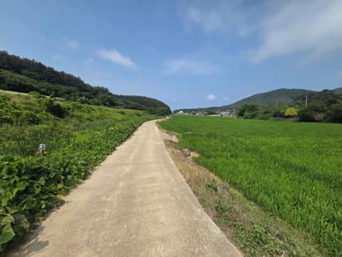 서해랑길68코스 사진 5