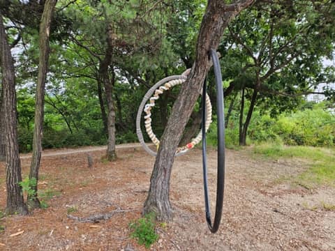인천둘레길5코스(만월산,금마산) 사진 4