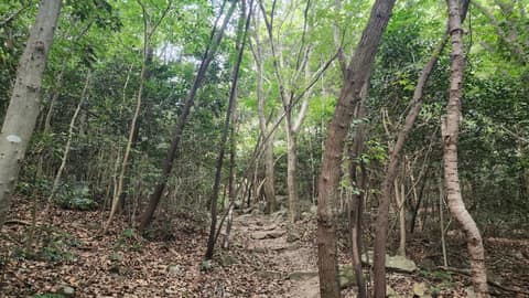 남파랑길90코스 사진 1