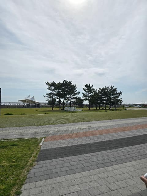 이사부길B코스 사진 3