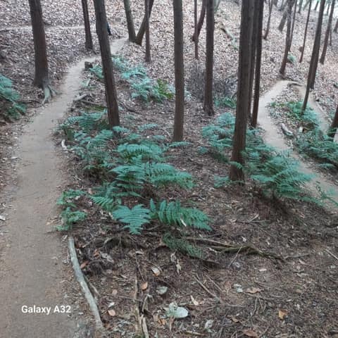 전북천리길금구명품길 사진 4