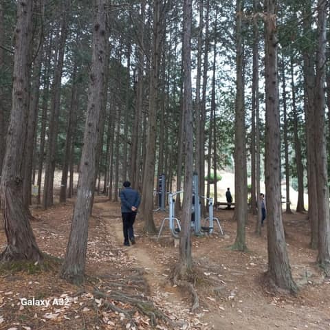 전북천리길금구명품길 사진 7
