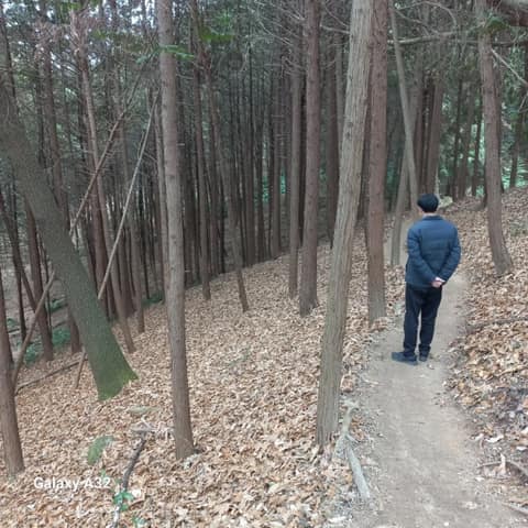 전북천리길금구명품길 사진 9