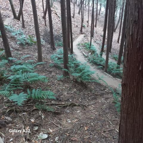 전북천리길금구명품길 사진 10