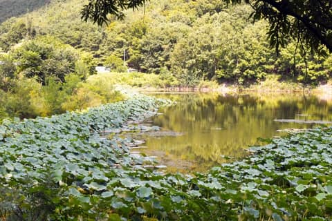 팔공산 사진 15