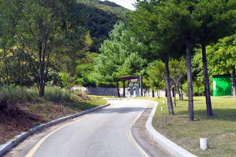 팔공산왕건길8코스(구사일생길) 사진 3