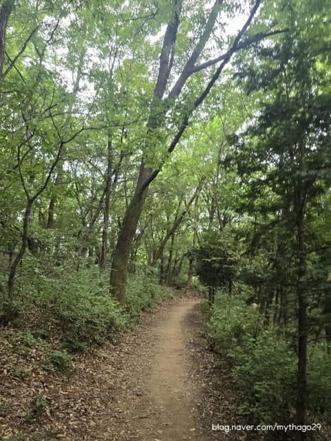 서울둘레길 사진 34