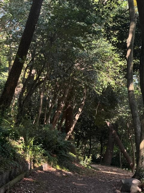 유달산둘레길 사진 2