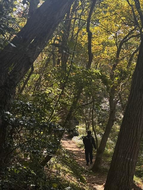 유달산둘레길 사진 5