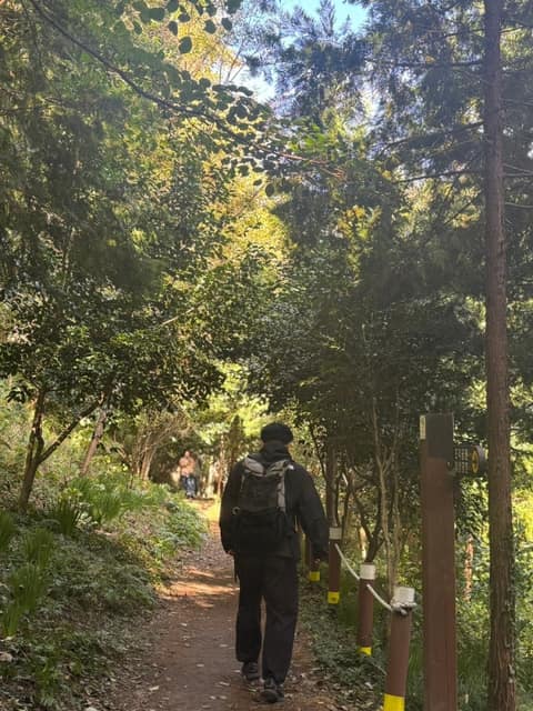유달산둘레길 사진 8