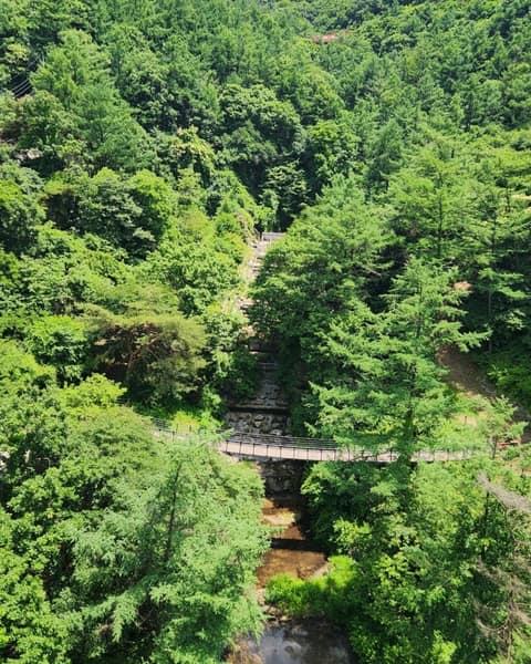 바람소리길 사진 1
