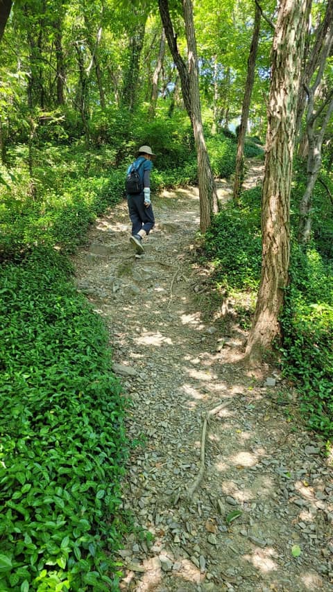 바람소리길 사진 5