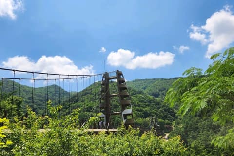 바람소리길 사진 7