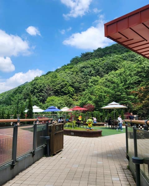 바람소리길 사진 8