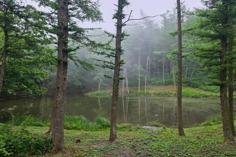 하이원하늘길 사진 1