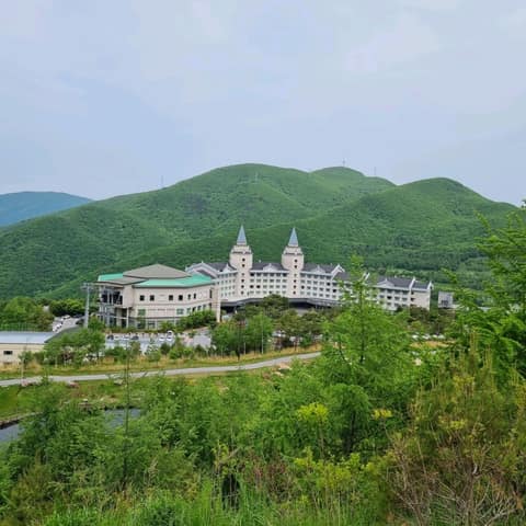 하이원하늘길 사진 3