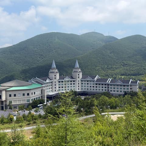 하이원하늘길 사진 7