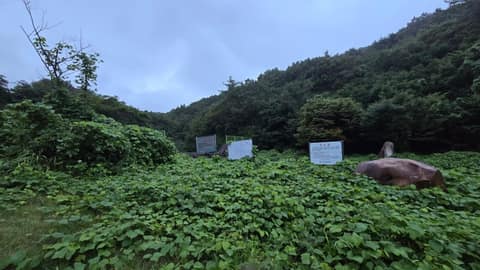 남파랑길71코스 사진 5