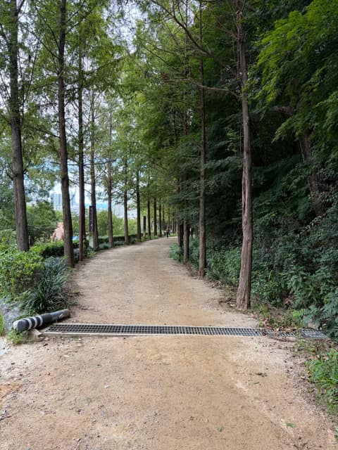 앞산자락길 사진 1