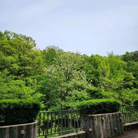앞산자락길 사진 2
