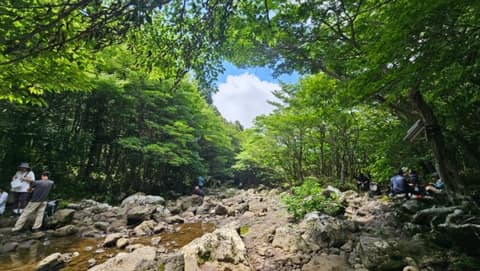 한라산둘레길2구간(돌오름길) 사진 7