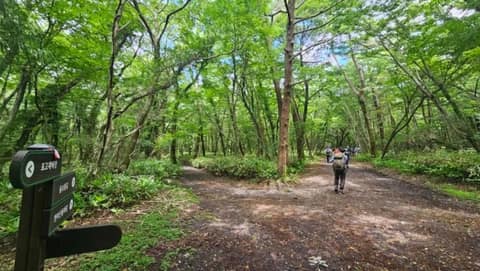한라산둘레길2구간(돌오름길) 사진 8