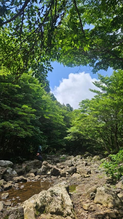 한라산둘레길2구간(돌오름길) 사진 10