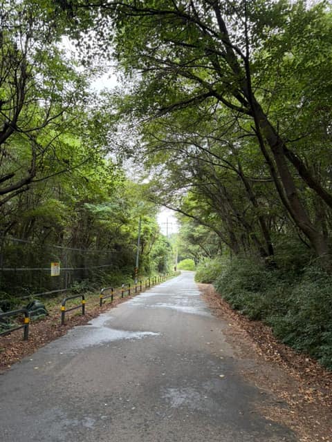 경기둘레길김포59코스 사진 1