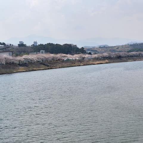 오랍드리산소길강변길 사진 7