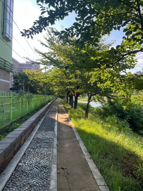 오랍드리산소길강변길 사진 8