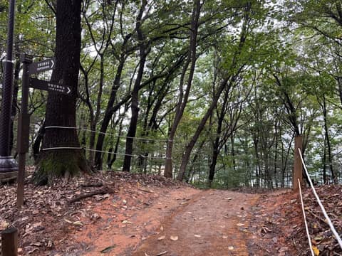 고양누리길8코스(경의로누리길) 사진 2