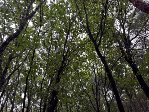 고양누리길8코스(경의로누리길) 사진 3
