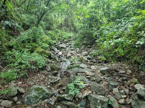 경기둘레길가평19코스 사진 1