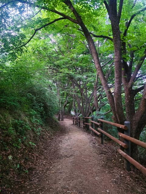 마포걷고싶은길9코스(하늘노을길) 사진 2