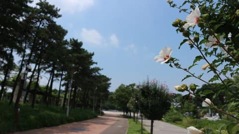 마포걷고싶은길9코스(하늘노을길) 사진 10