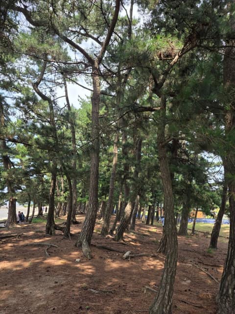 경기둘레길화성48코스 사진 2