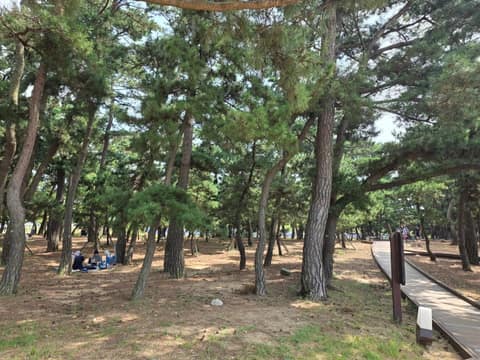 경기둘레길화성48코스 사진 3