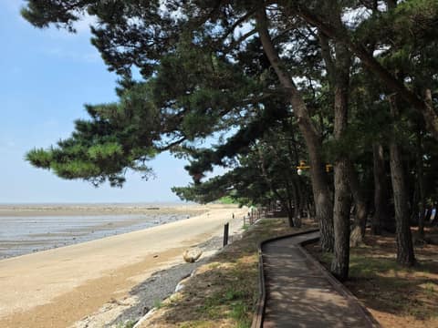 경기둘레길화성48코스 사진 5