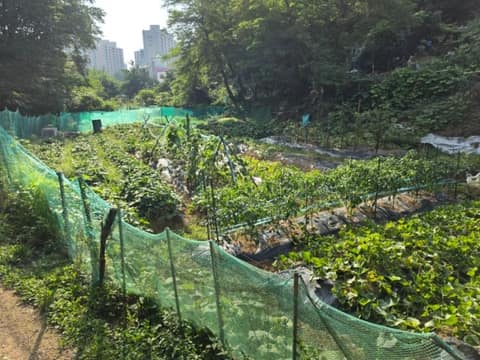 서해랑길96코스 사진 4