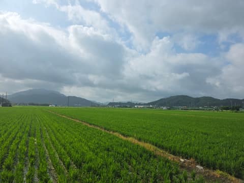 남파랑길13코스 사진 2
