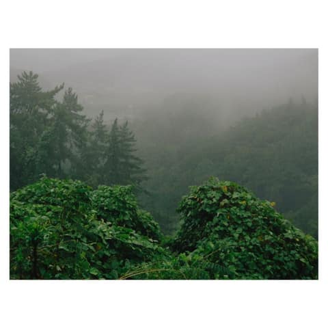 남파랑길13코스 사진 4